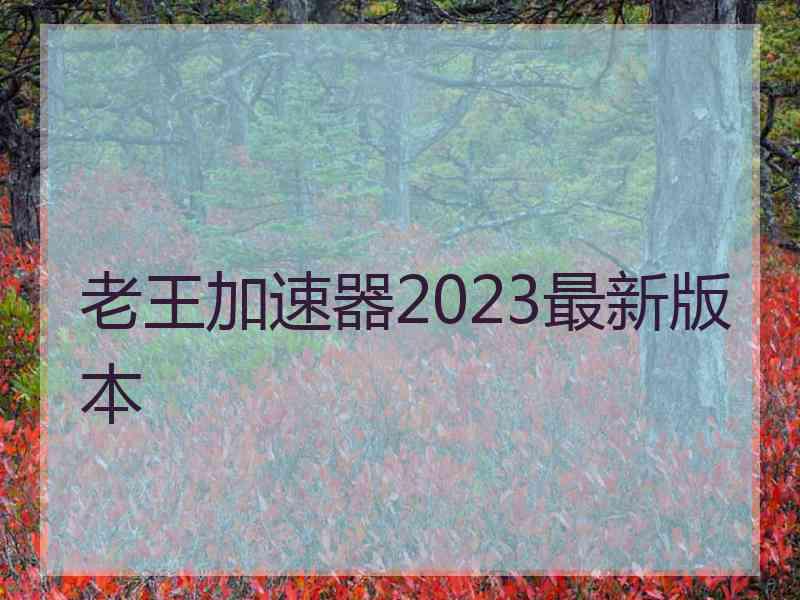 老王加速器2023最新版本