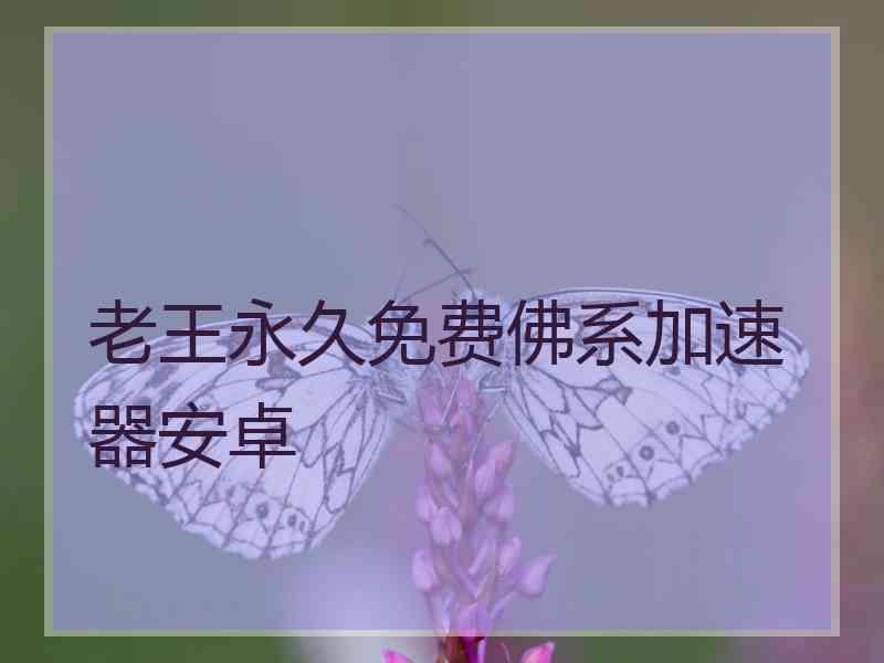 老王永久免费佛系加速器安卓